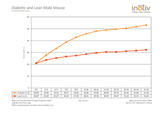 B0B体育平台下载Envigo-diabetic-and-lean-male-growth-curve-16-week
